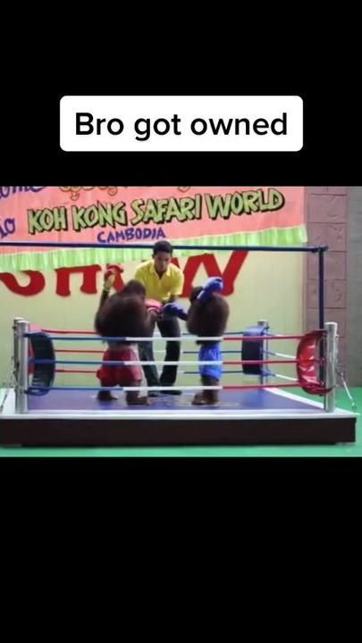 TikTok video thumbnail by skeniskool