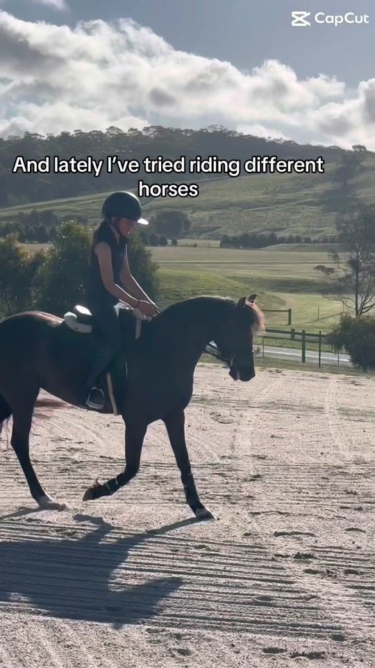 TikTok video thumbnail by heidiiandherponies