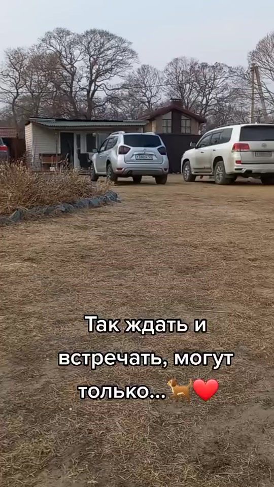 TikTok video thumbnail by mizgir_1