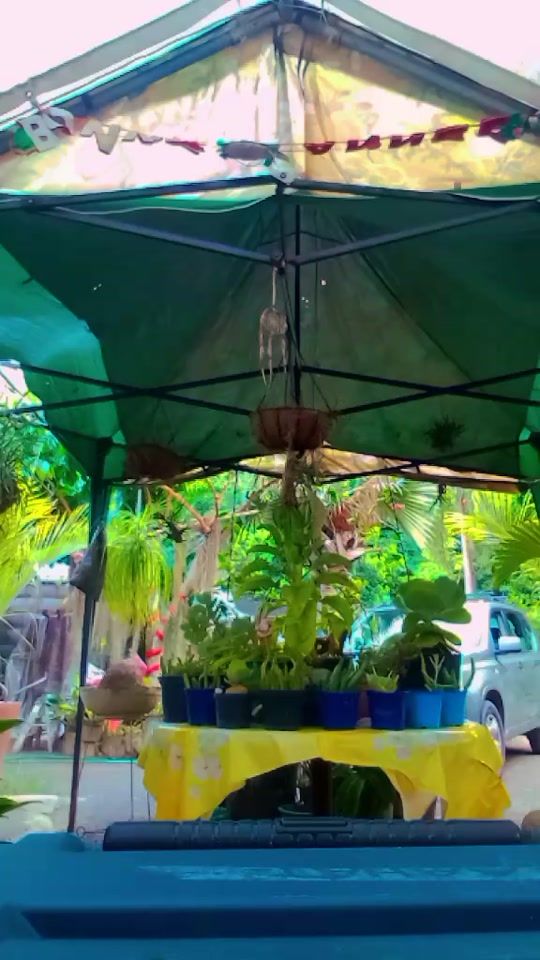 TikTok video thumbnail by tea_ni_hei_987
