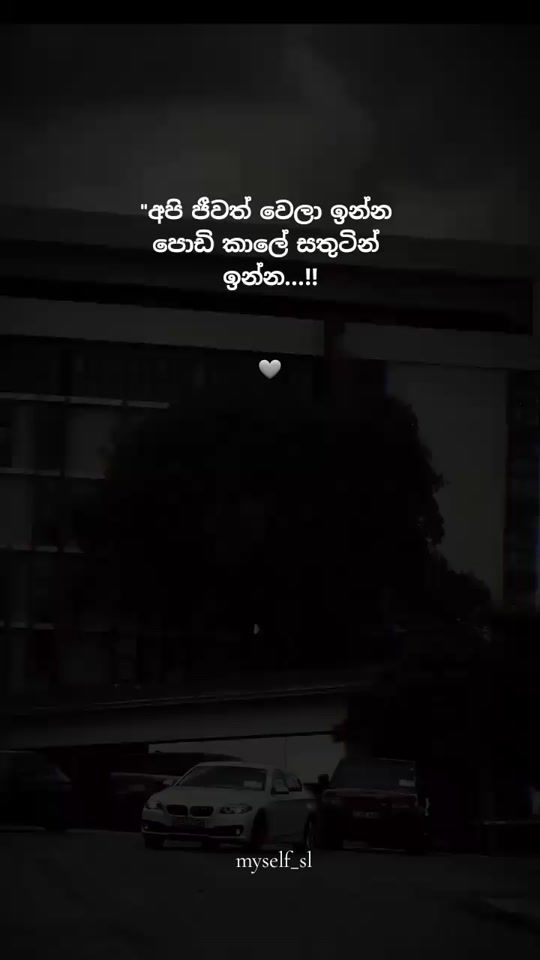 TikTok video thumbnail by myself_sl