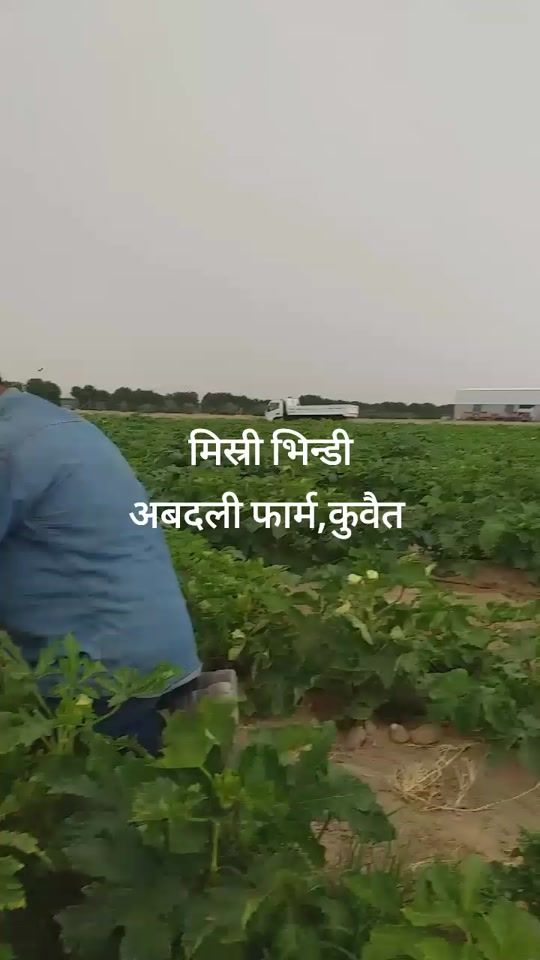 TikTok video thumbnail by mansoorpathanpath