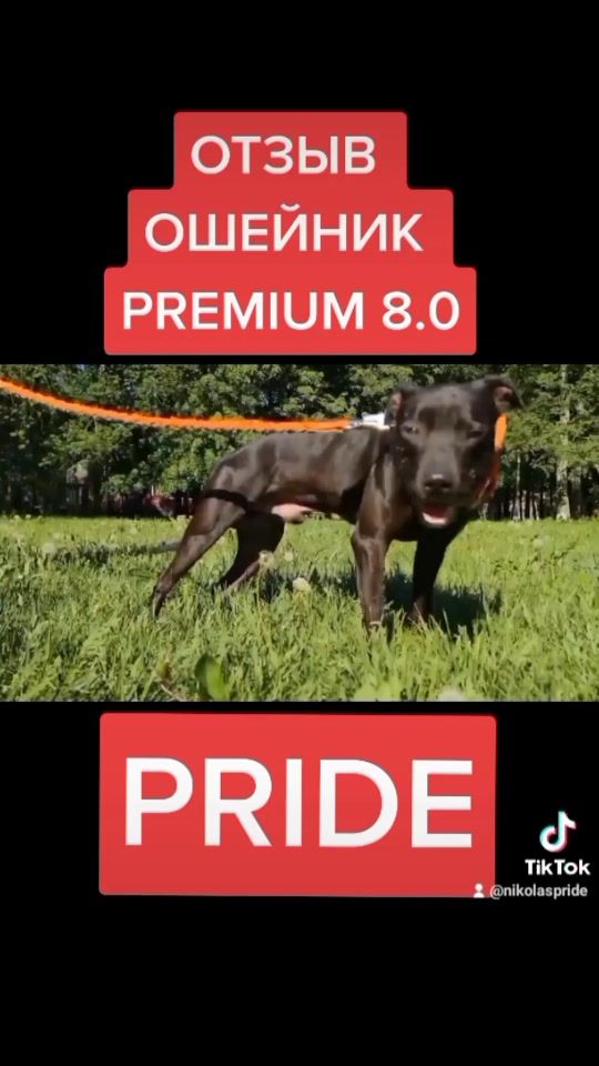 TikTok video thumbnail by nikolaspride