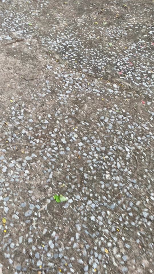 TikTok video thumbnail by pannasitkhantee