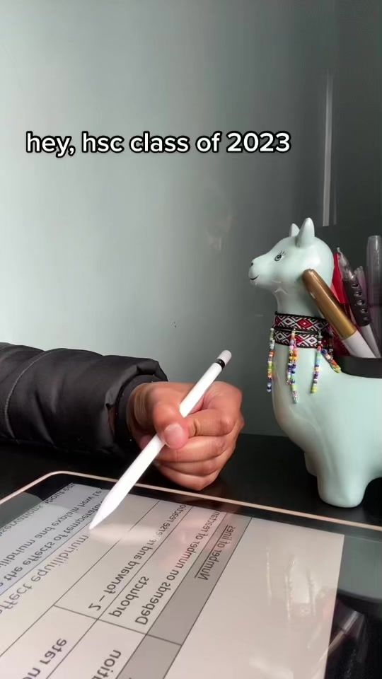 TikTok video thumbnail by thestudenthustle
