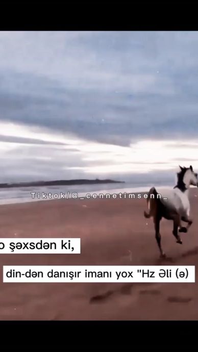 TikTok video thumbnail by _by._.reis_
