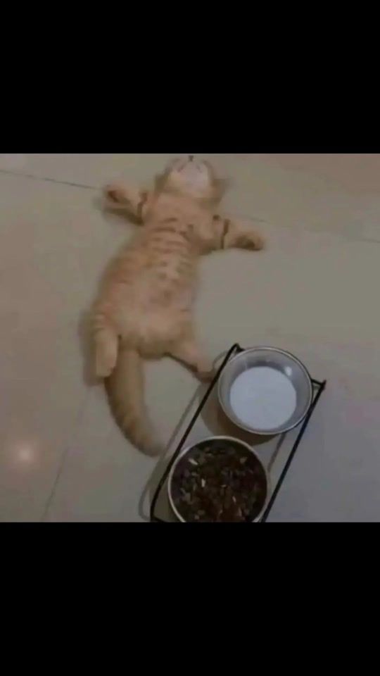 TikTok video thumbnail by susukuksu