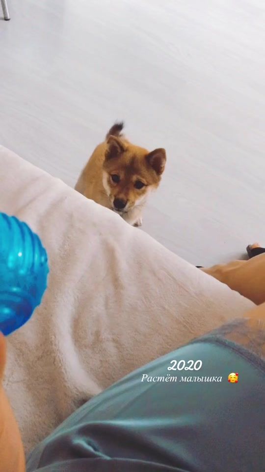 TikTok video thumbnail by your.julliett