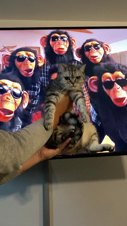 TikTok video thumbnail by kico_world