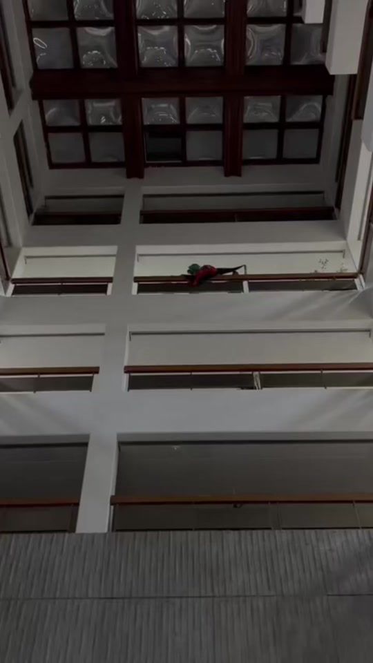 TikTok video thumbnail by zw.75