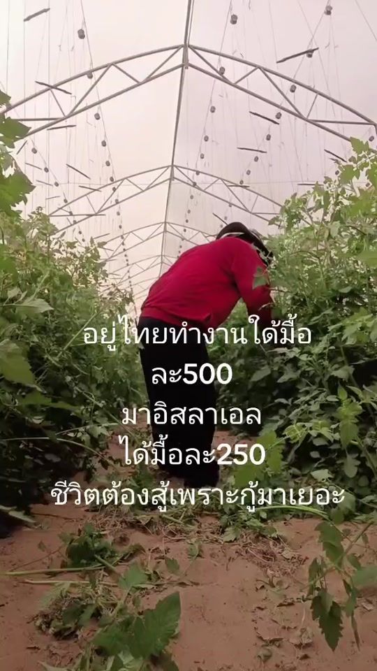 TikTok video thumbnail by golf1989.2532