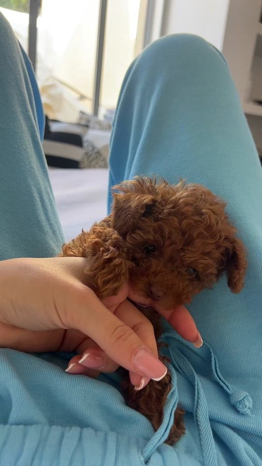 TikTok video thumbnail by yuviiiozz