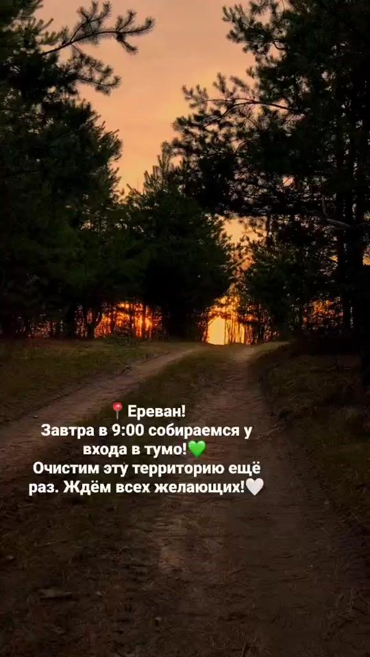 TikTok video thumbnail by savearm