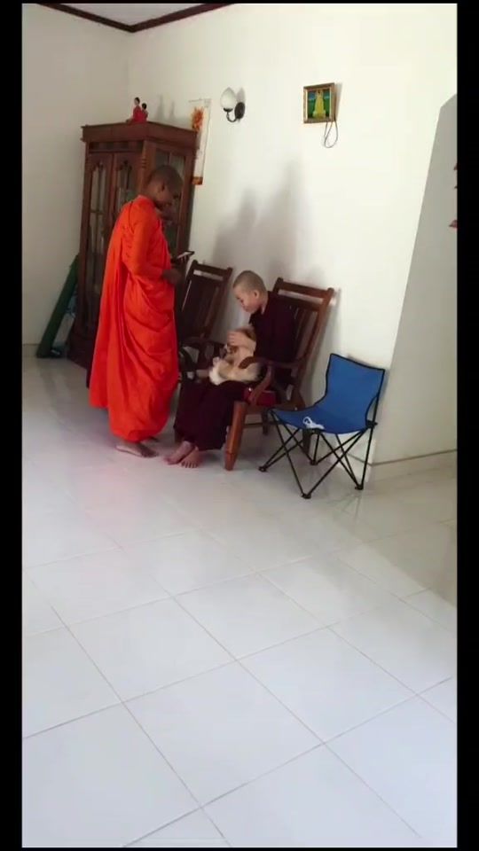 TikTok video thumbnail by sasani_bela