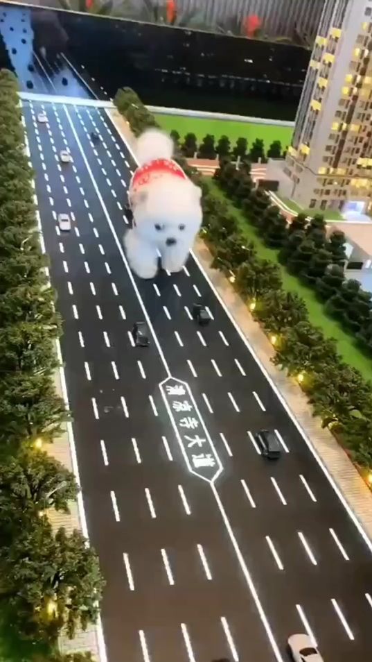TikTok video thumbnail by cute_sweet_pets6