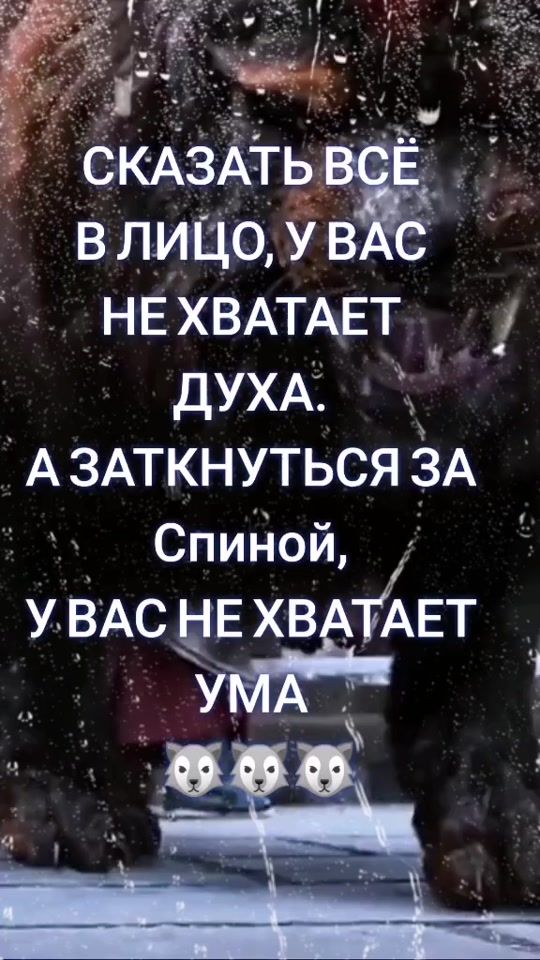 TikTok video thumbnail by dimon.volk142