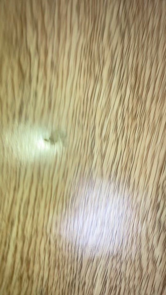 TikTok video thumbnail by a_lo156