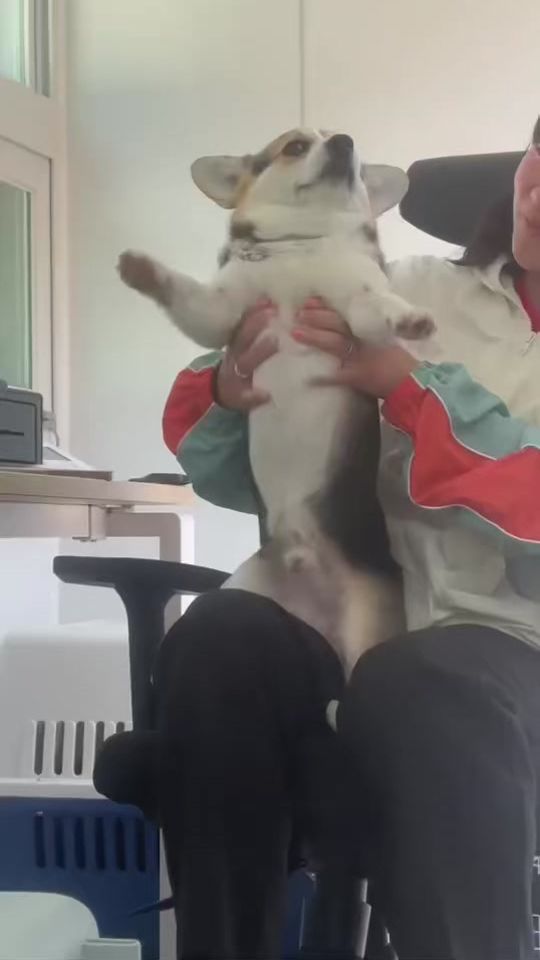 TikTok video thumbnail by deokggggu