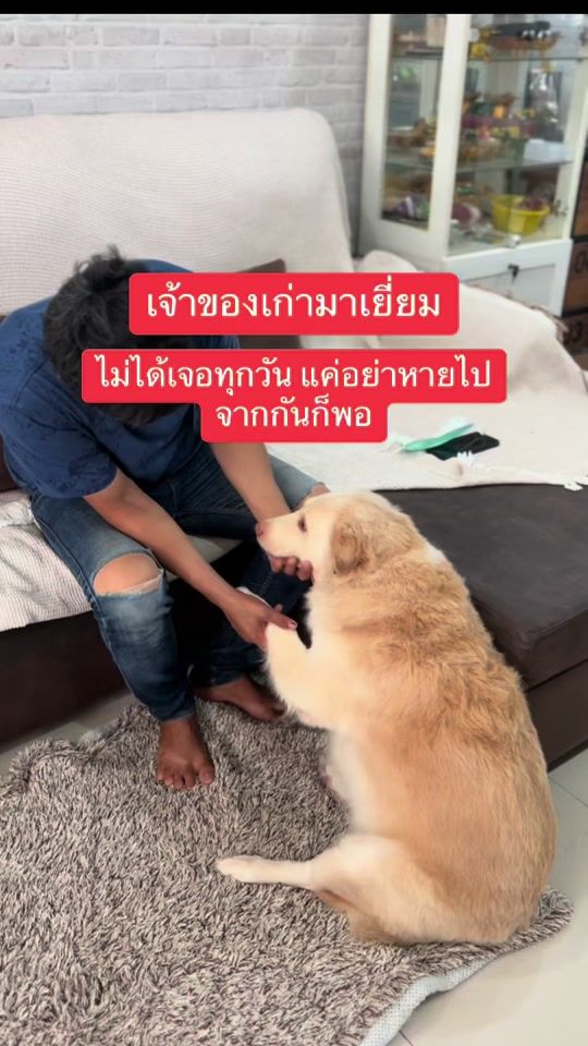 TikTok video thumbnail by ornnibchayakorn
