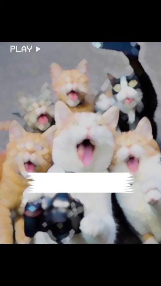 TikTok video thumbnail by dr.drama44