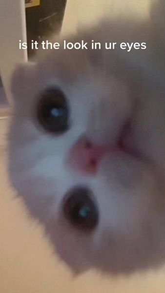 TikTok video thumbnail by lllustful