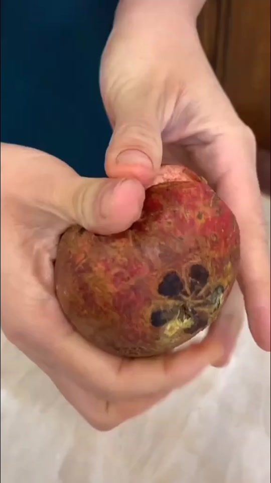 TikTok video thumbnail by qzrymf66
