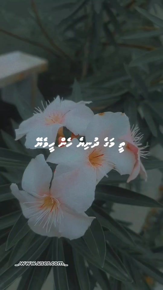 TikTok video thumbnail by _.unknwn.user._
