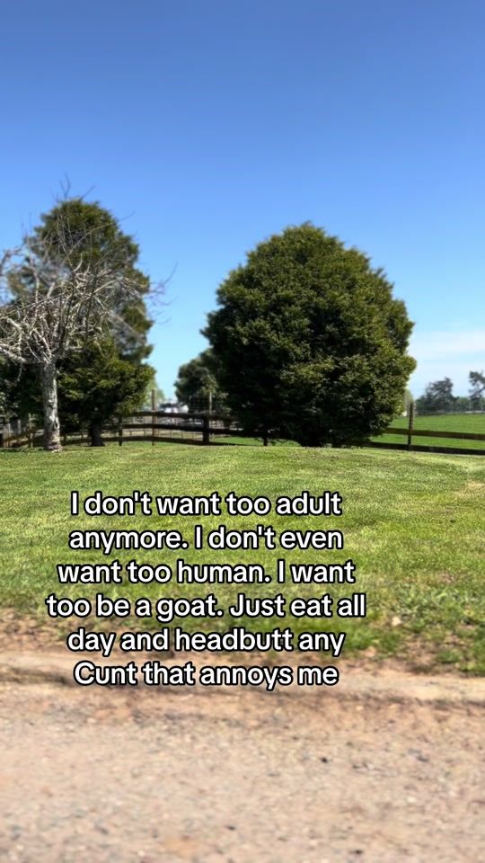 TikTok video thumbnail by nzsendit