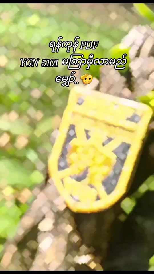 TikTok video thumbnail by sthuaung911