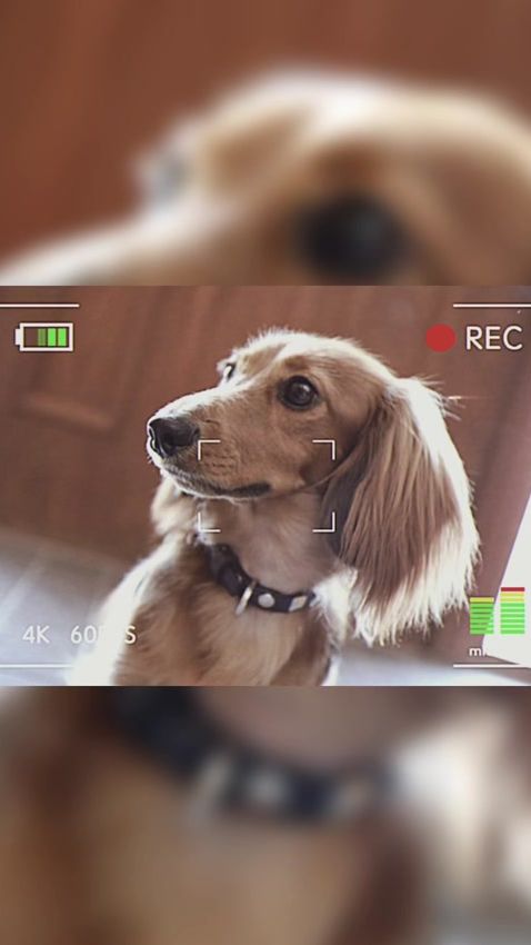 TikTok video thumbnail by kisakelly