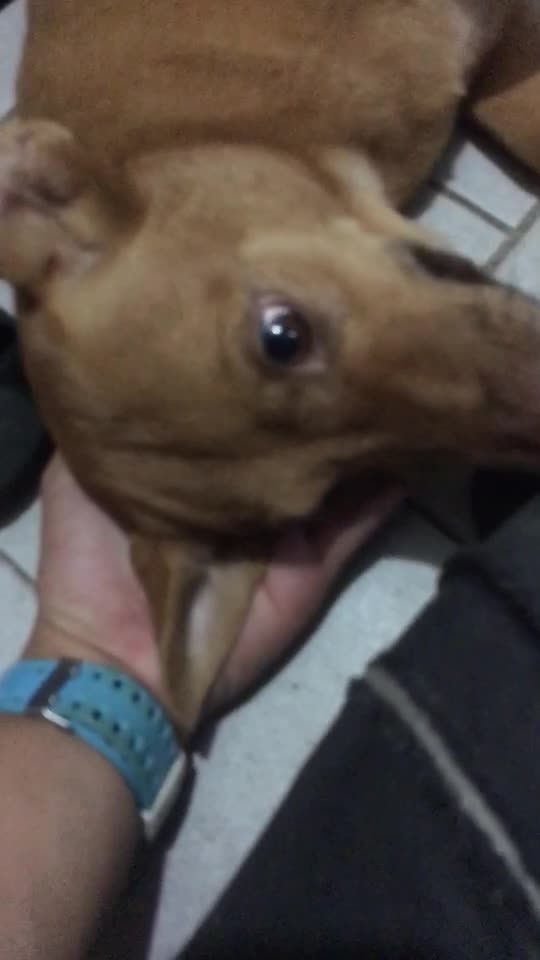 TikTok video thumbnail by theerapong_not