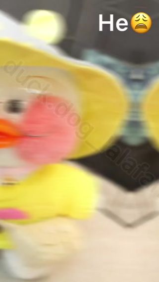 TikTok video thumbnail by _duck.dog_lalafanfan_