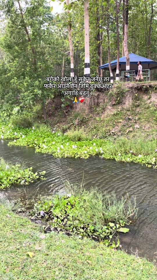 TikTok video thumbnail by chiyan.ki.pari