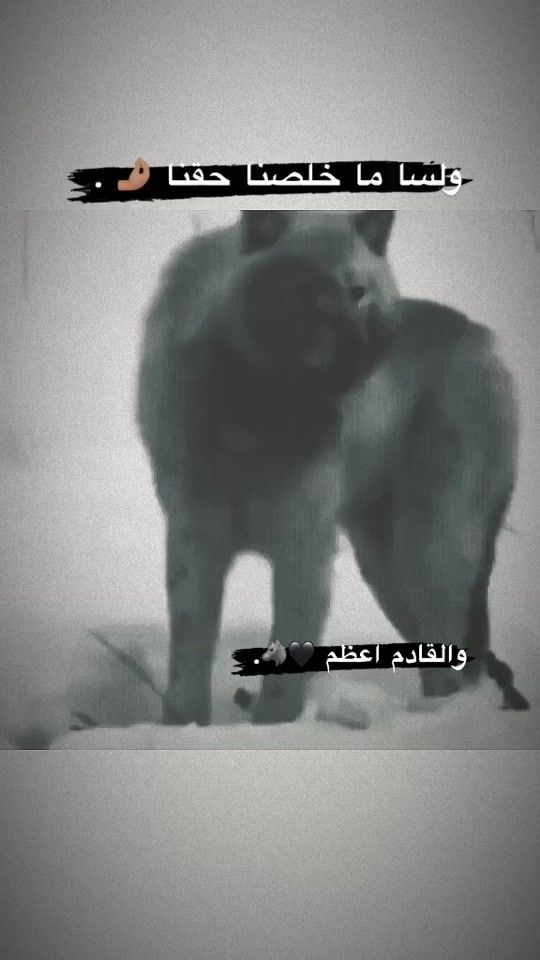 TikTok video thumbnail by x.7rs._12k