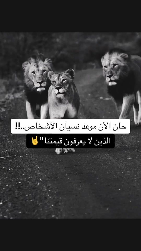 TikTok video thumbnail by gassam_d_0
