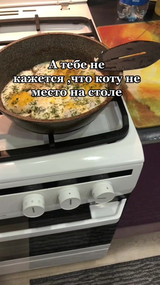 TikTok video thumbnail by itifall_svet_lion