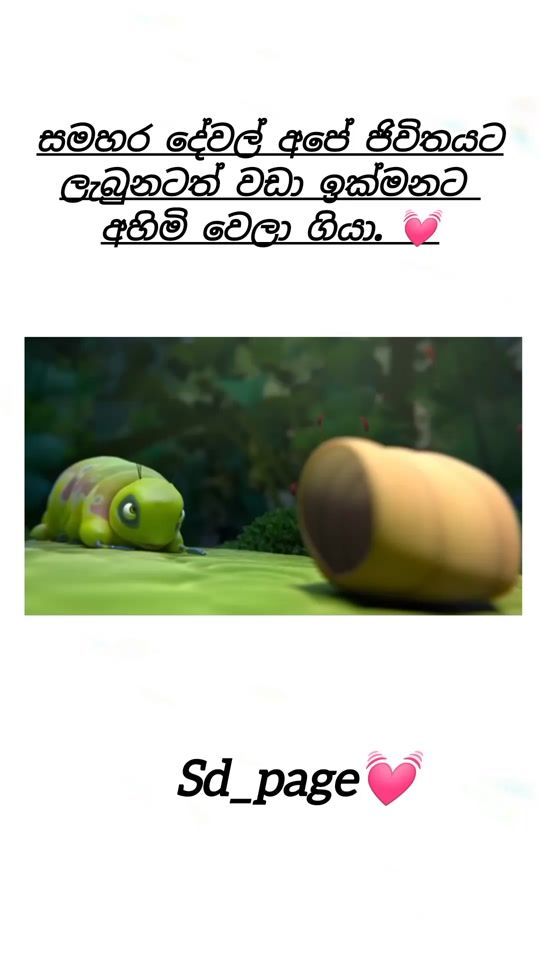 TikTok video thumbnail by supun_disanayake