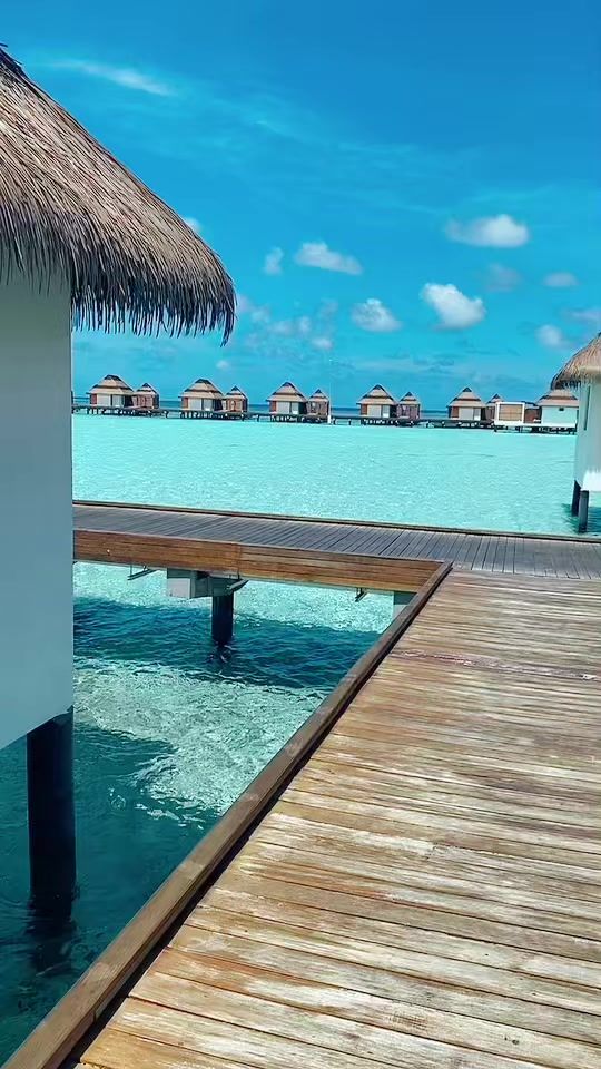 TikTok video thumbnail by miaaxess