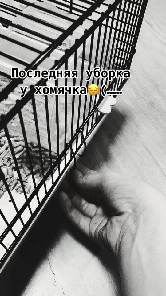 TikTok video thumbnail by ._.iphone.__