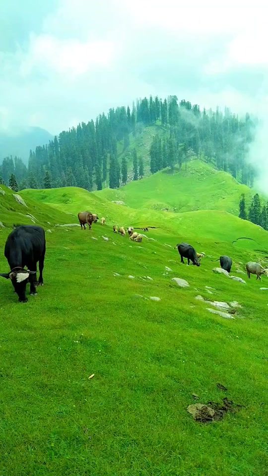 TikTok video thumbnail by khalana50