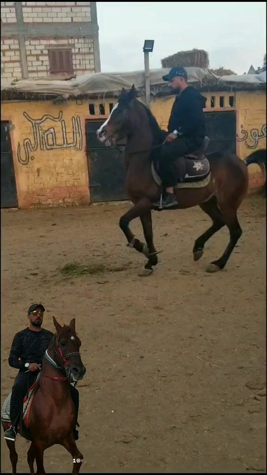 TikTok video thumbnail by m210h1