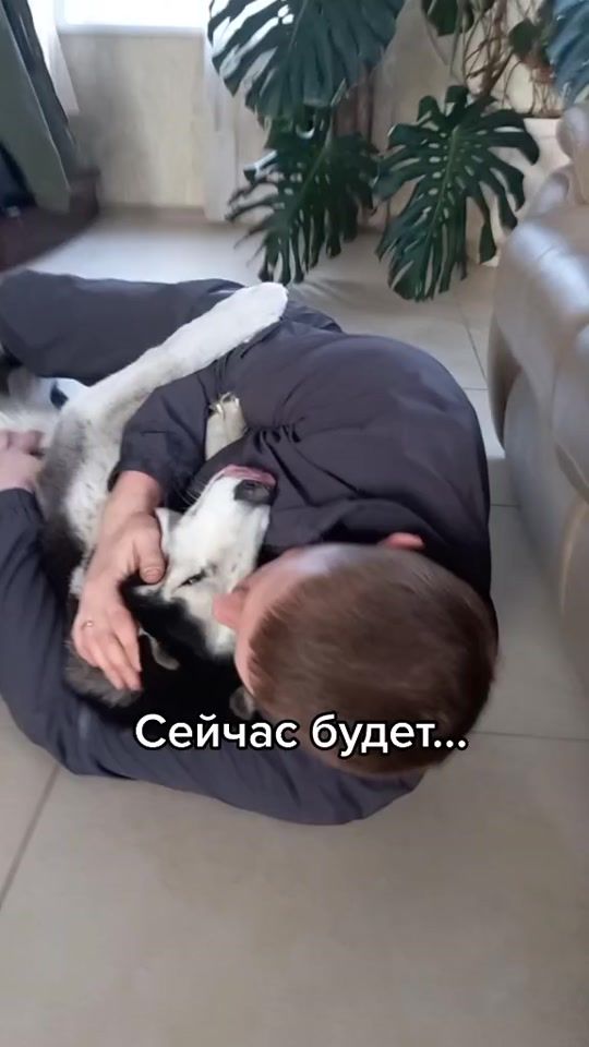 TikTok video thumbnail by mizgir_1