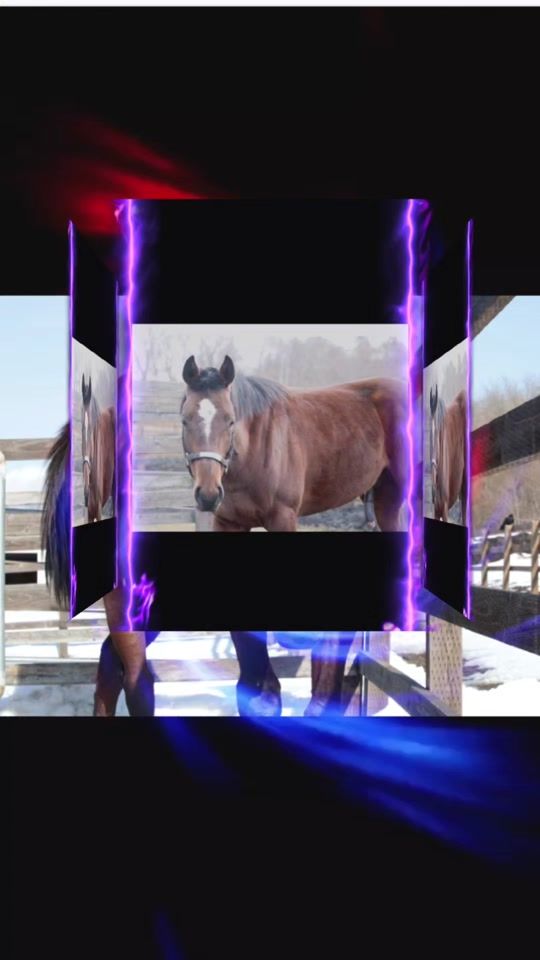 TikTok video thumbnail by nozo807