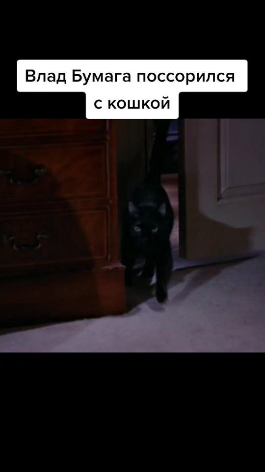 TikTok video thumbnail by olezhe