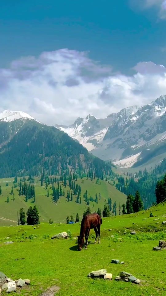 TikTok video thumbnail by mountain.lover.s