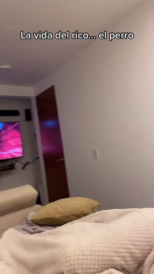 TikTok video thumbnail by ilianigomez