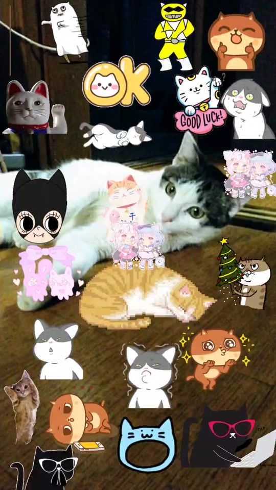 TikTok video thumbnail by user245253988