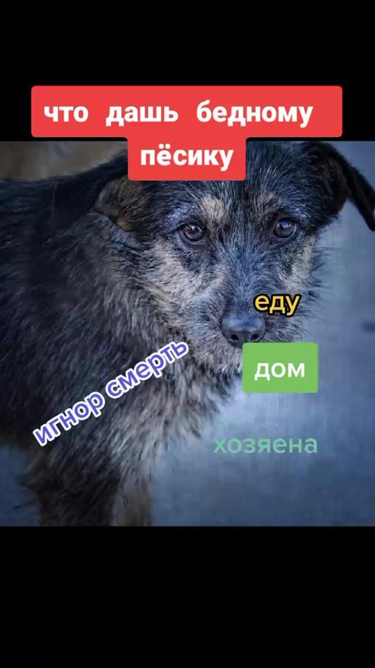 TikTok video thumbnail by wlad320
