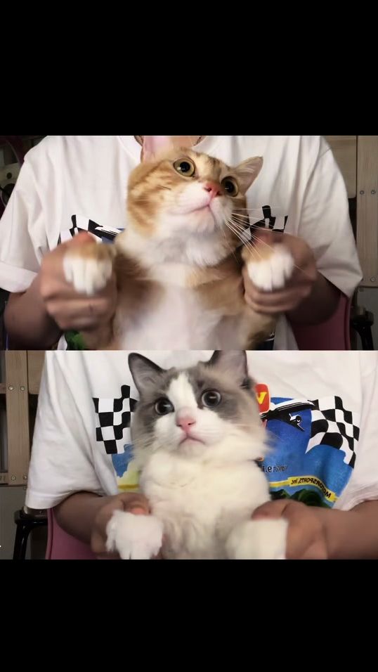 TikTok video thumbnail by hiimyoursue