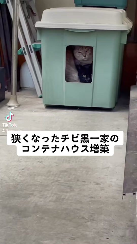 TikTok video thumbnail by ramu_rio